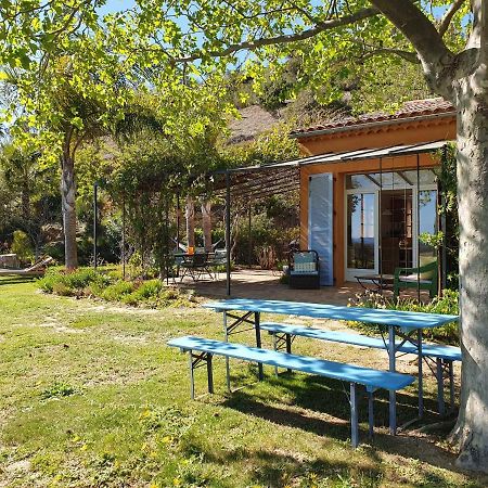 House With Garden And Sea View La Londe-les-Maures Exterior foto