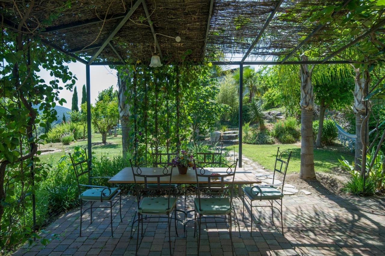 House With Garden And Sea View La Londe-les-Maures Exterior foto