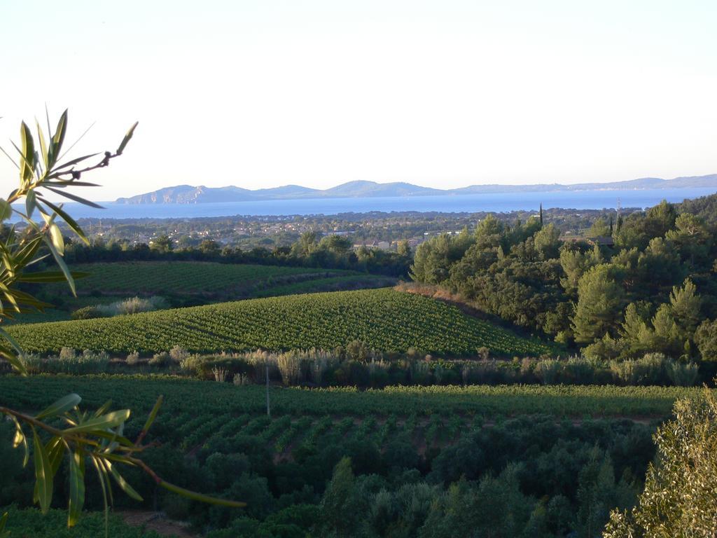 House With Garden And Sea View La Londe-les-Maures Quarto foto