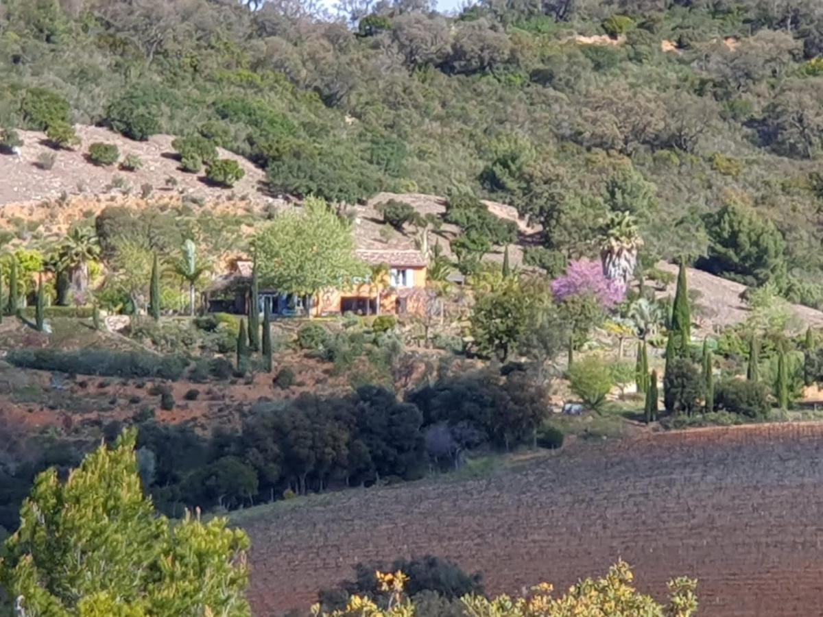 House With Garden And Sea View La Londe-les-Maures Exterior foto