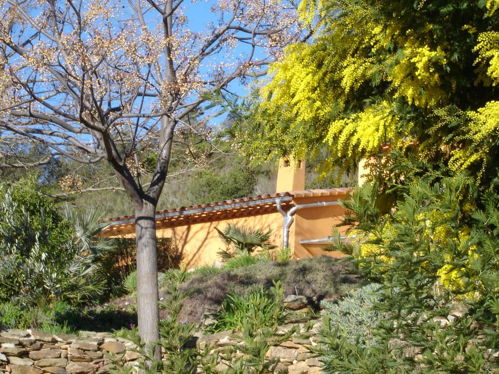 House With Garden And Sea View La Londe-les-Maures Quarto foto
