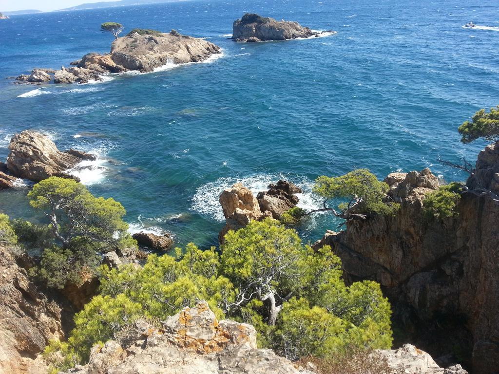 House With Garden And Sea View La Londe-les-Maures Exterior foto