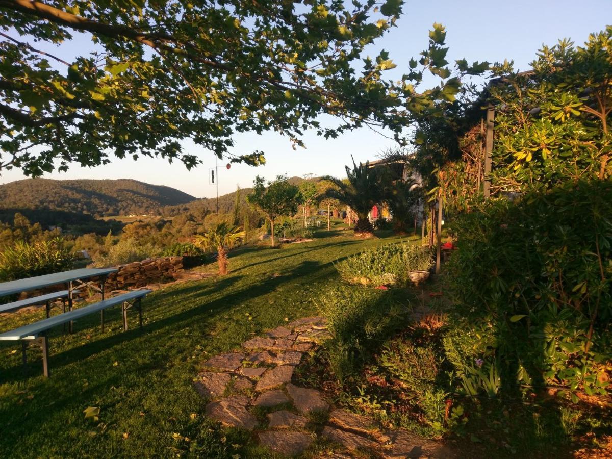 House With Garden And Sea View La Londe-les-Maures Exterior foto